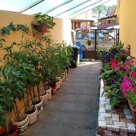 Διαμέρισμα U Soucku *